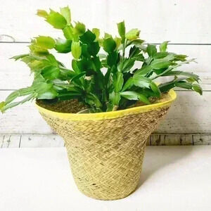 Woven Straw Vase Lined Planter Basket EUC